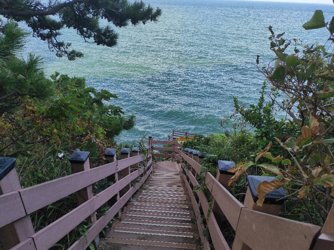 Igidae Park-釜山必去景点
