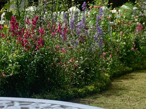 塔菲里尼酒店主图