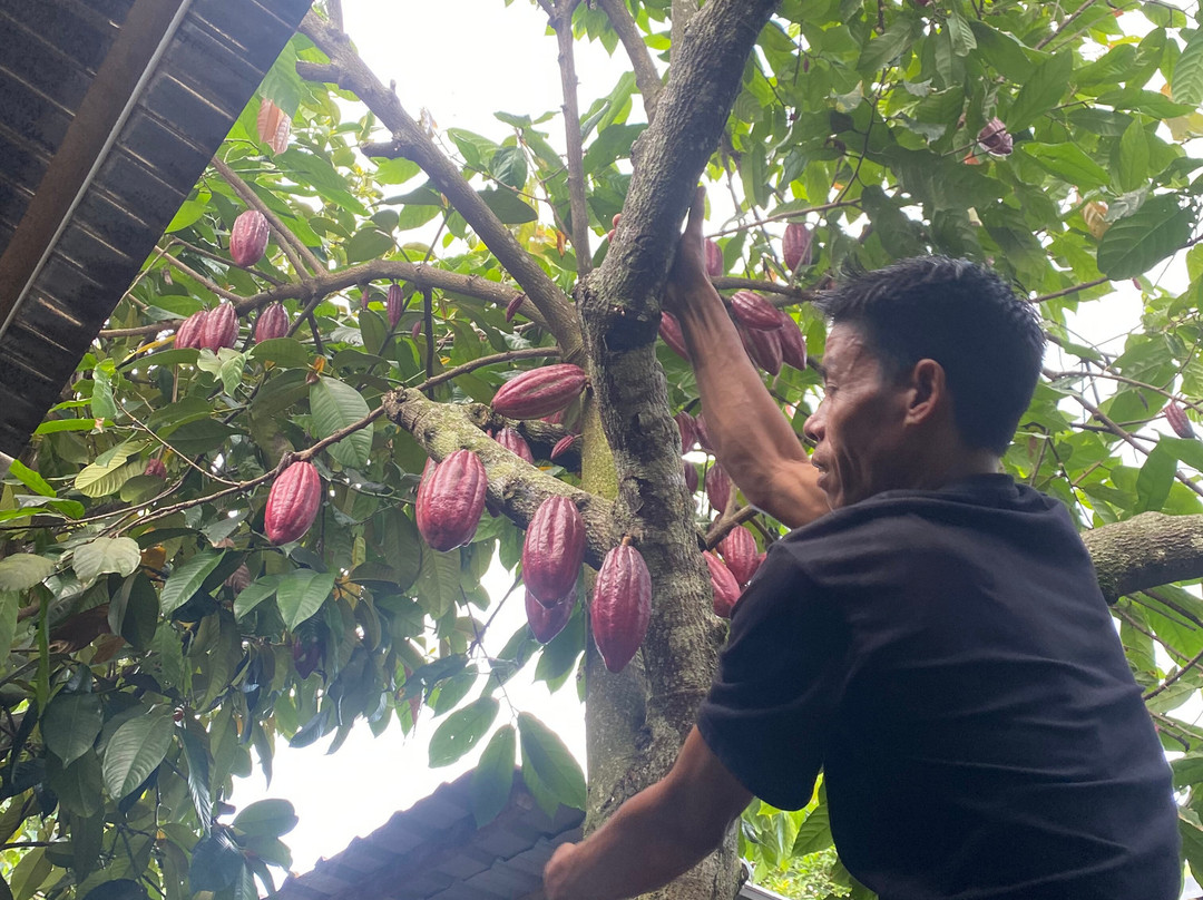 Davi Trekker-Tetebatu必去景点