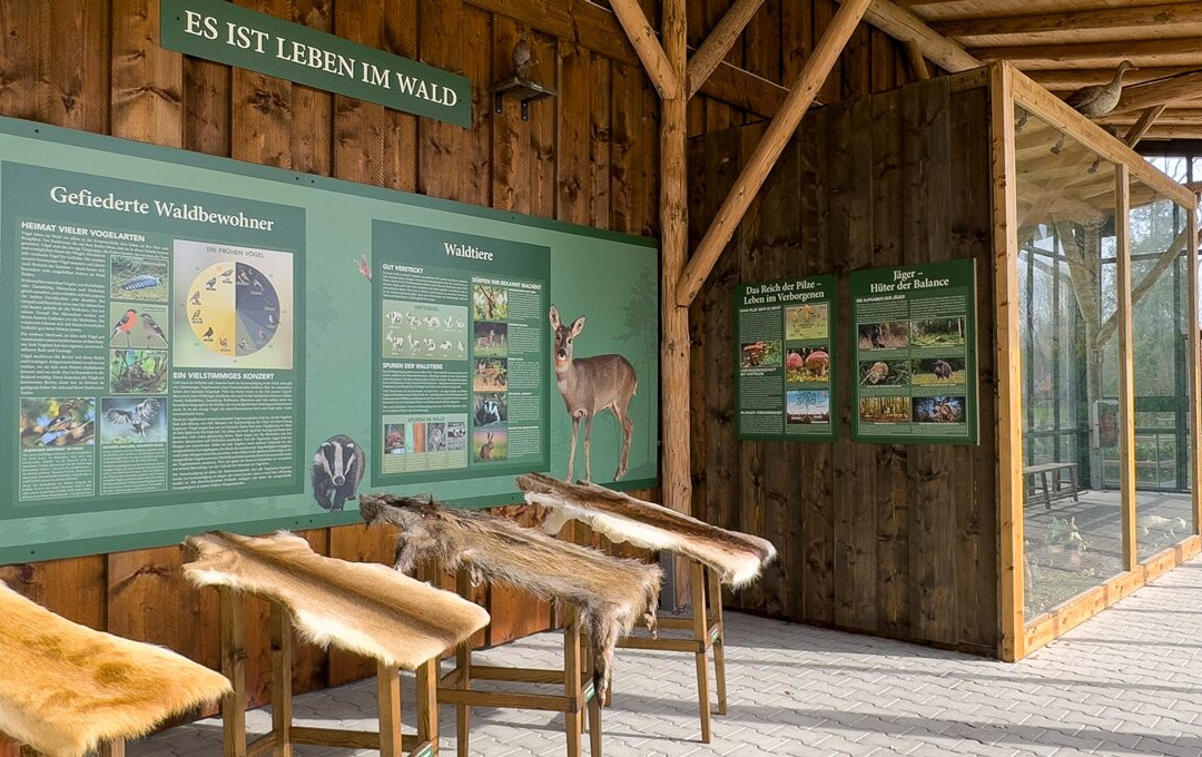 Wald- Und Wildmuseum Lütetsburg