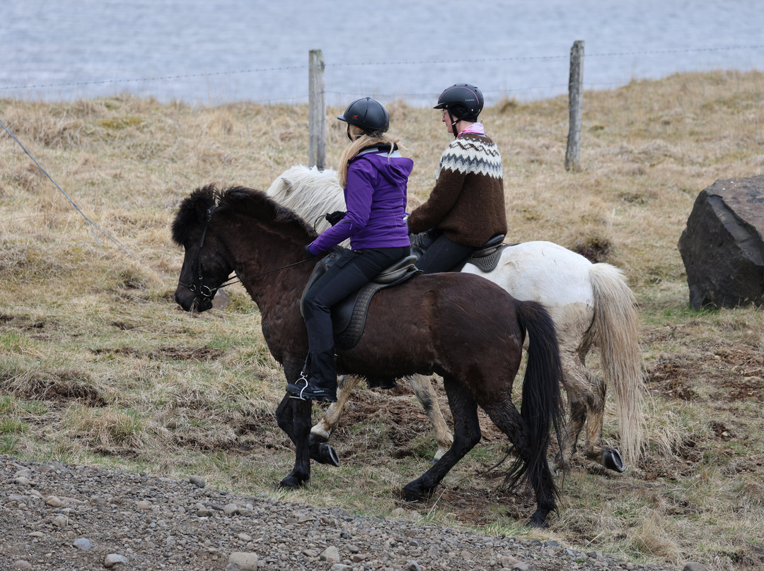 Dalahestar-布扎达吕尔必去景点