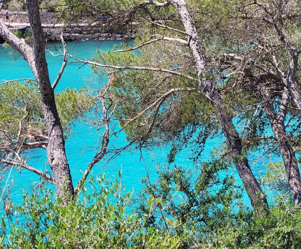 Parc Natural De Mondragó-桑塔尼必去景点