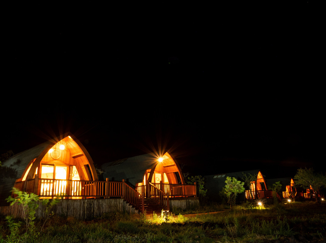 Serengeti Ark Safari Lodge - Kogatende