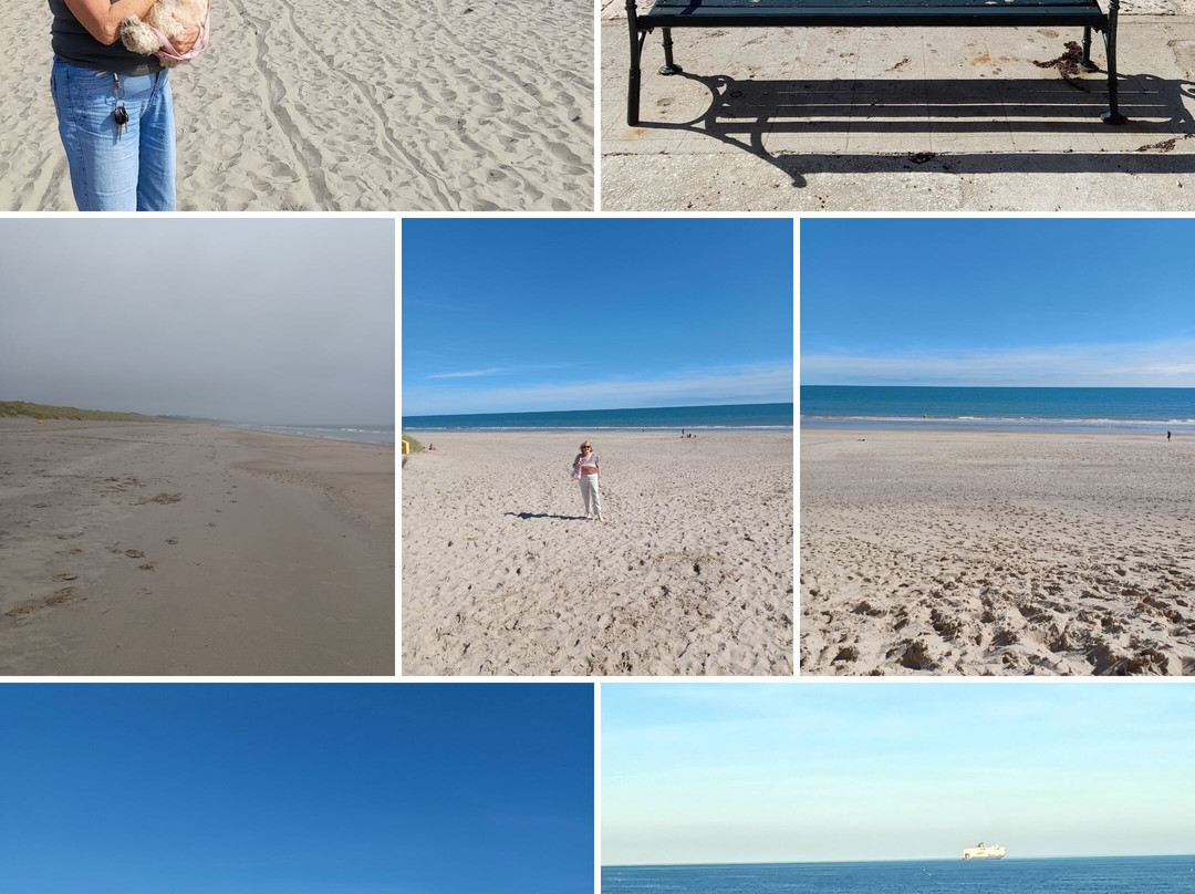Curracloe Beach-Curracloe必去景点