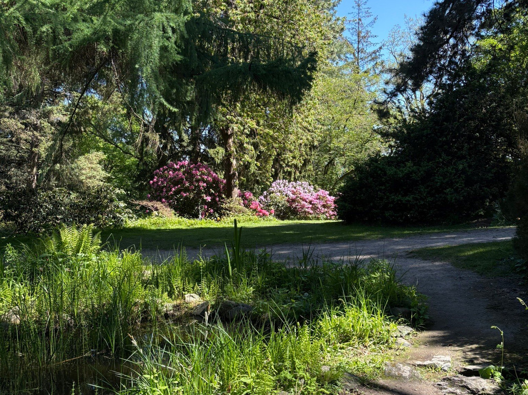 Botanic Gardens Kiel-基尔必去景点