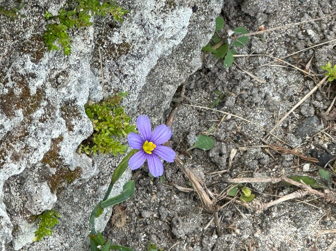 The Unfinished Church-圣乔治必去景点