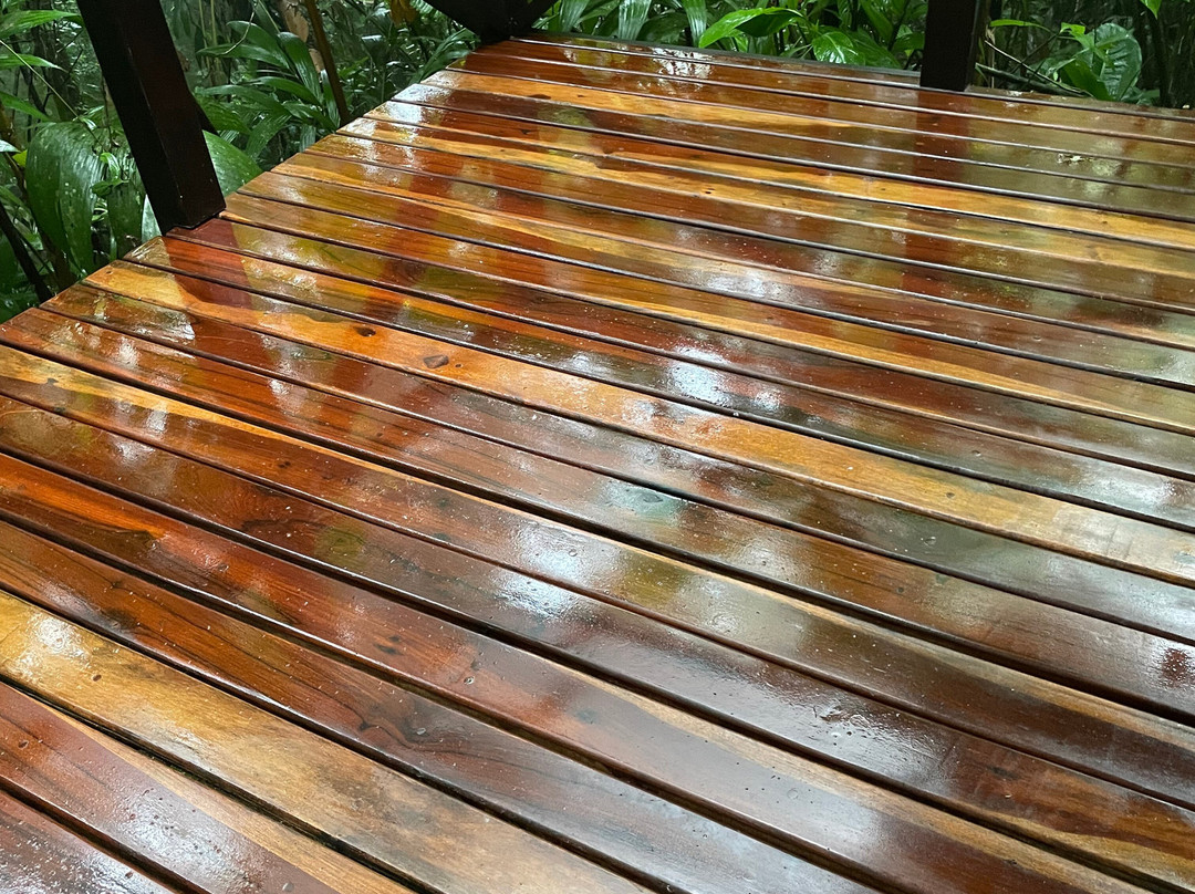 Hideaway Rio Celeste Hotel主图