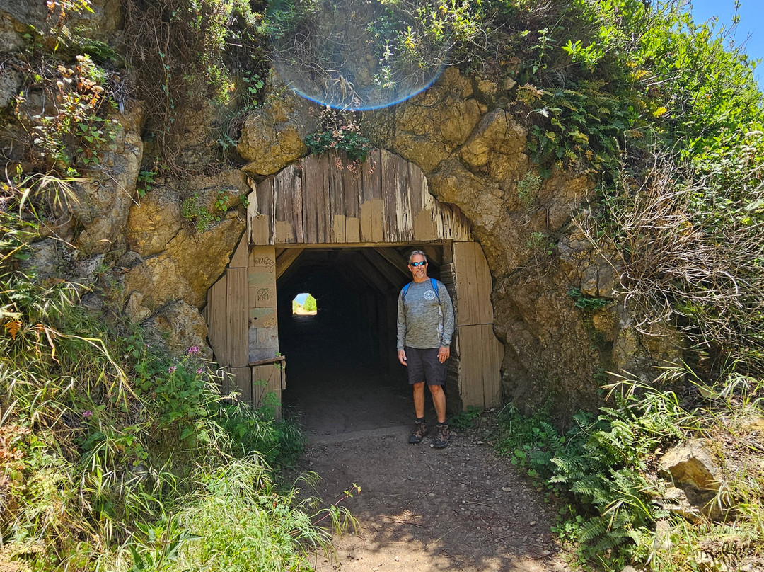 Partington Cove-大苏尔必去景点