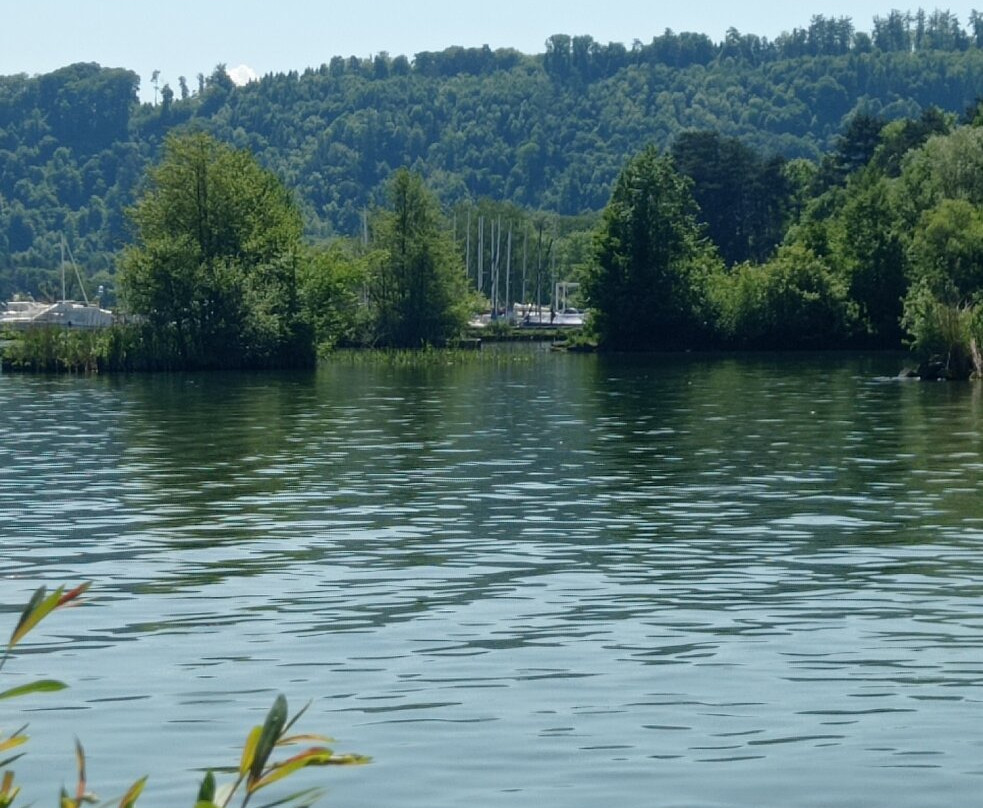 Camping Des Pêches
