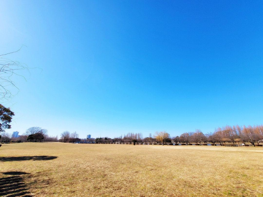 Misato Park-三乡市必去景点