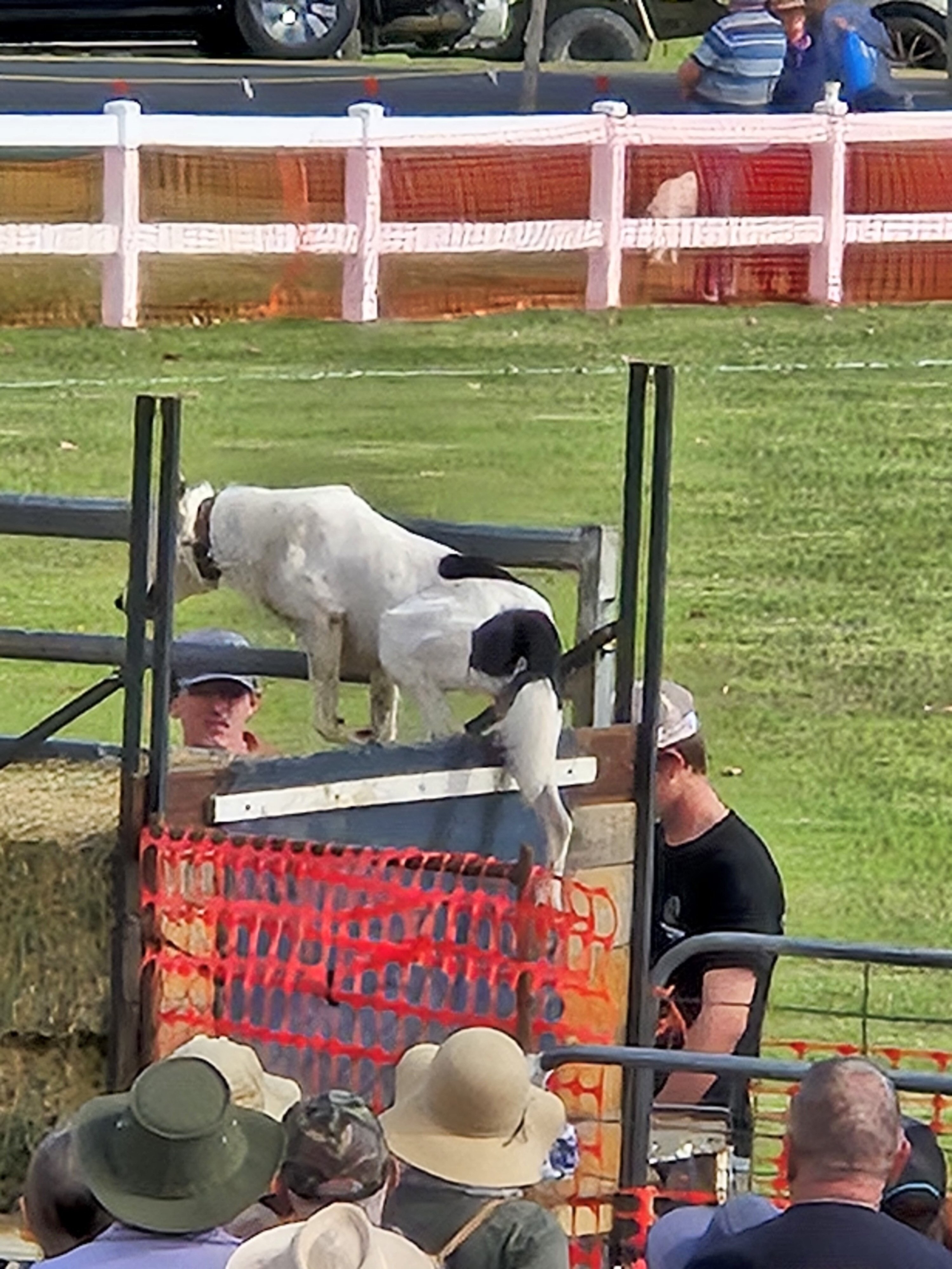 Hills Of Gold Motel-官方