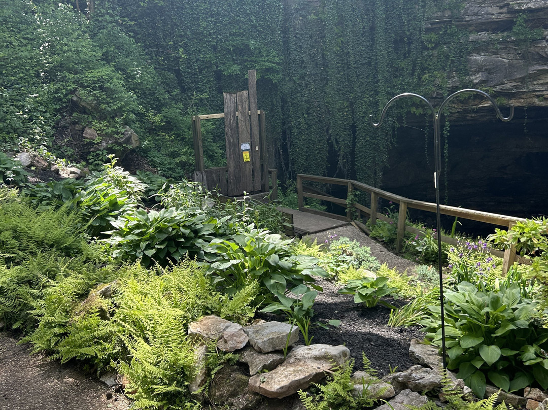 Hidden River Cave and American Cave Museum-Horse Cave必去景点