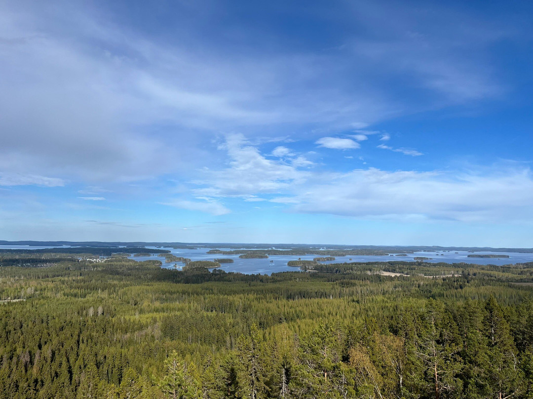 Vanuvuori Nature Trail And Observation Tower-库奥皮奥必去景点