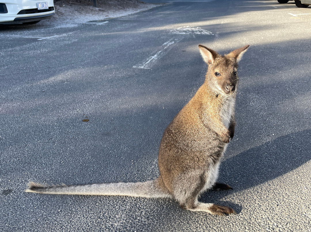 Freycinet National Park景点图片