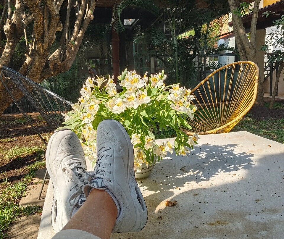 Casa Limon Malinalco主图