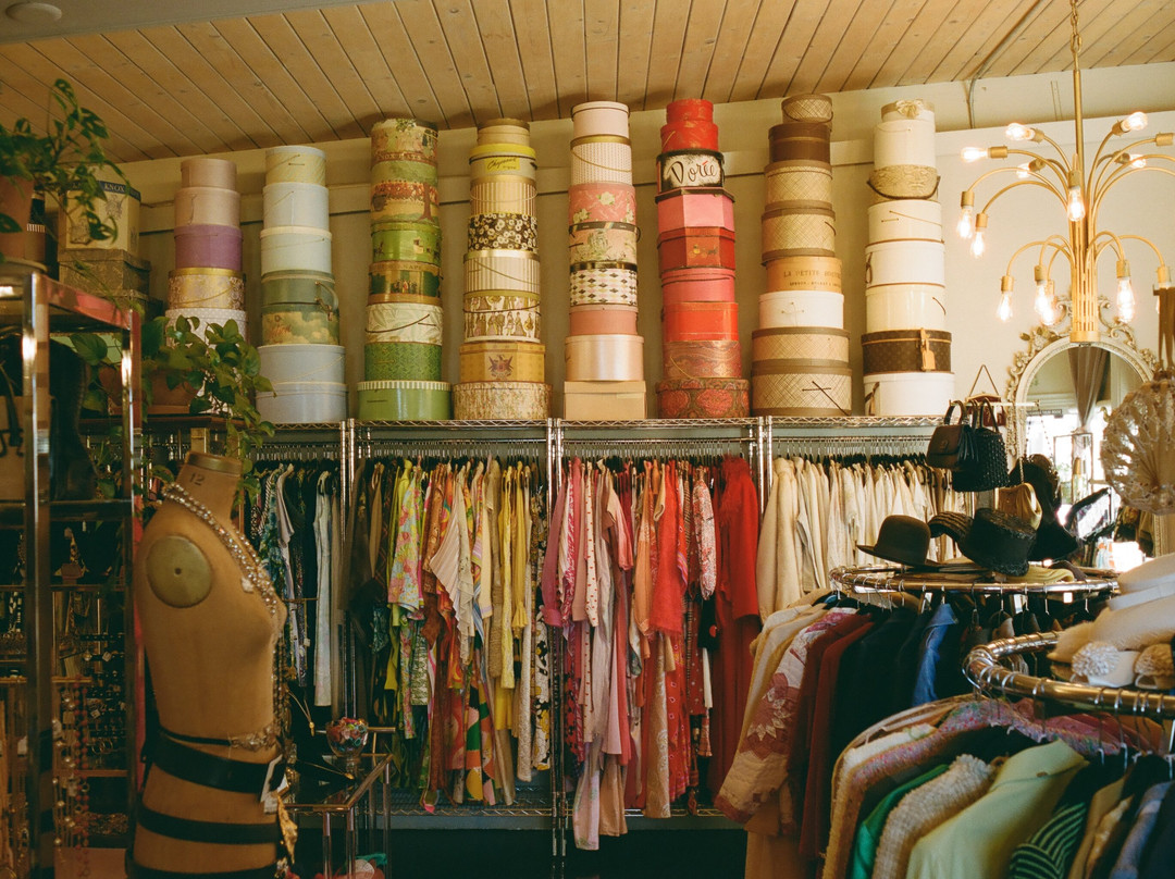 The Fine Art of Design-棕榈沙漠必去景点