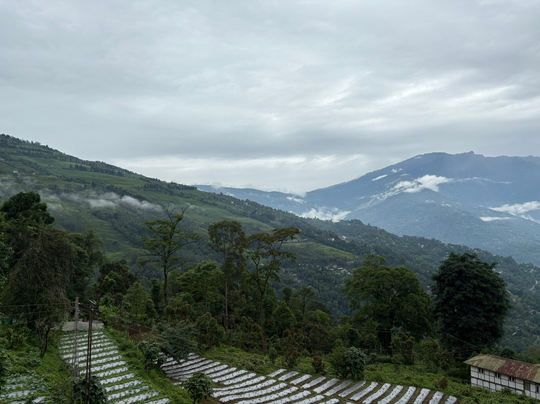 Khanuwa Khim Homestay