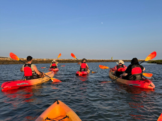 Coyote Kayaks-普罗温斯敦必去景点