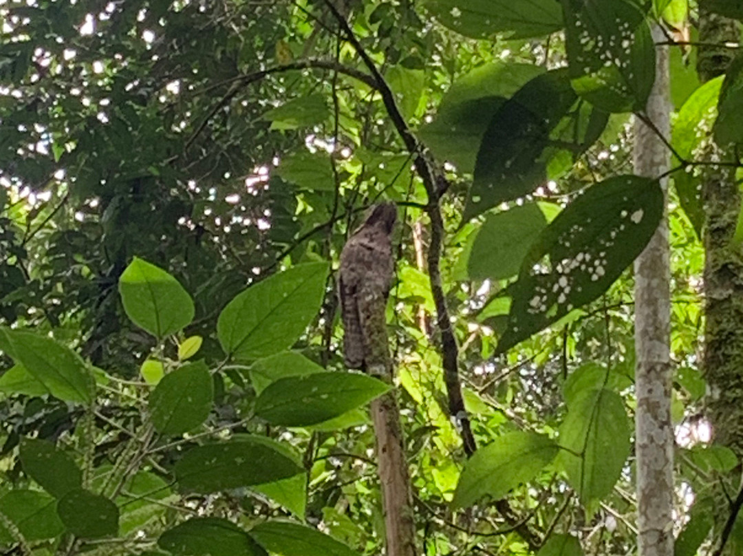Kasaguadua Natural Reserve-萨伦托必去景点
