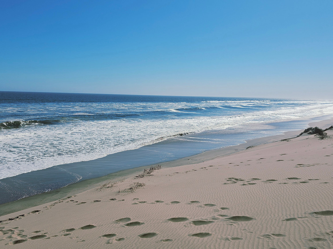 Desert Dunes & Dust Tours-斯瓦科普蒙德必去景点
