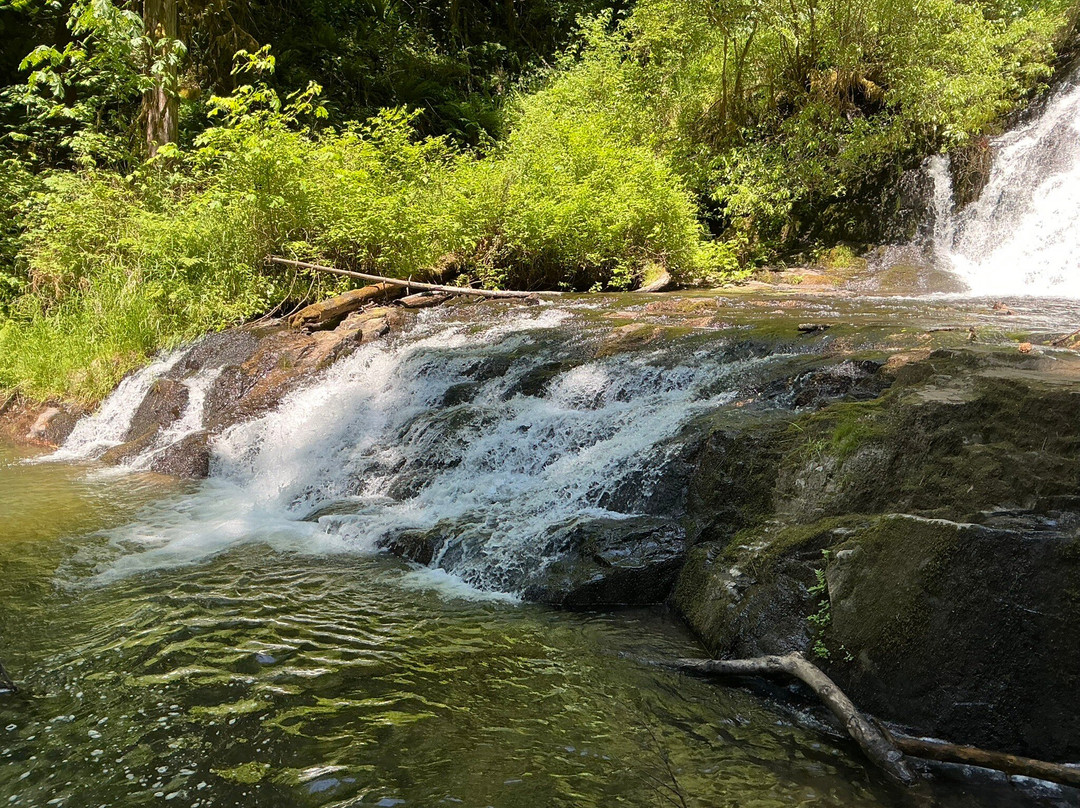 Alsea Falls Recreation Site-Alsea必去景点
