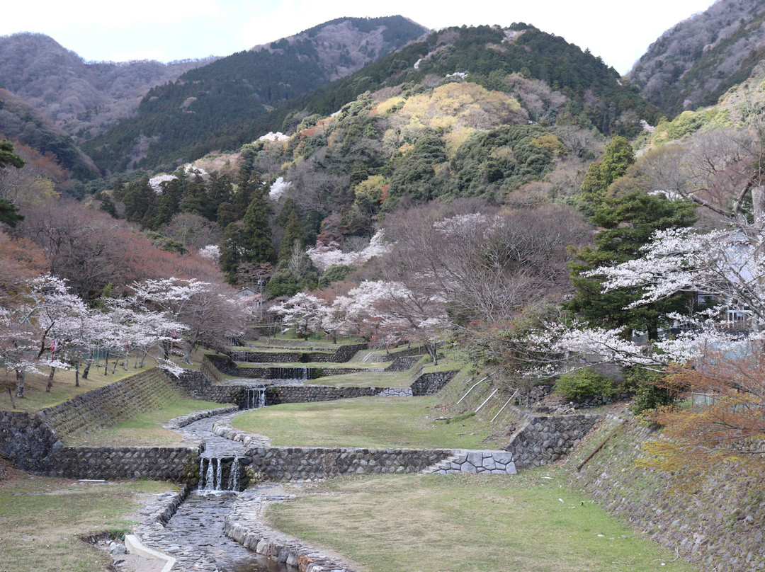Yoro Park-养老町必去景点
