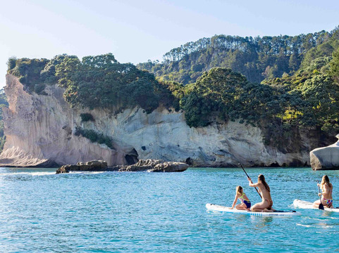 Ocean Escapes Private Charter-菲蒂昂格必去景点