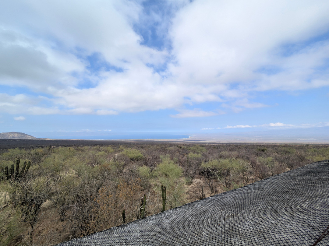 Rancho Cacachilas-El Sargento必去景点