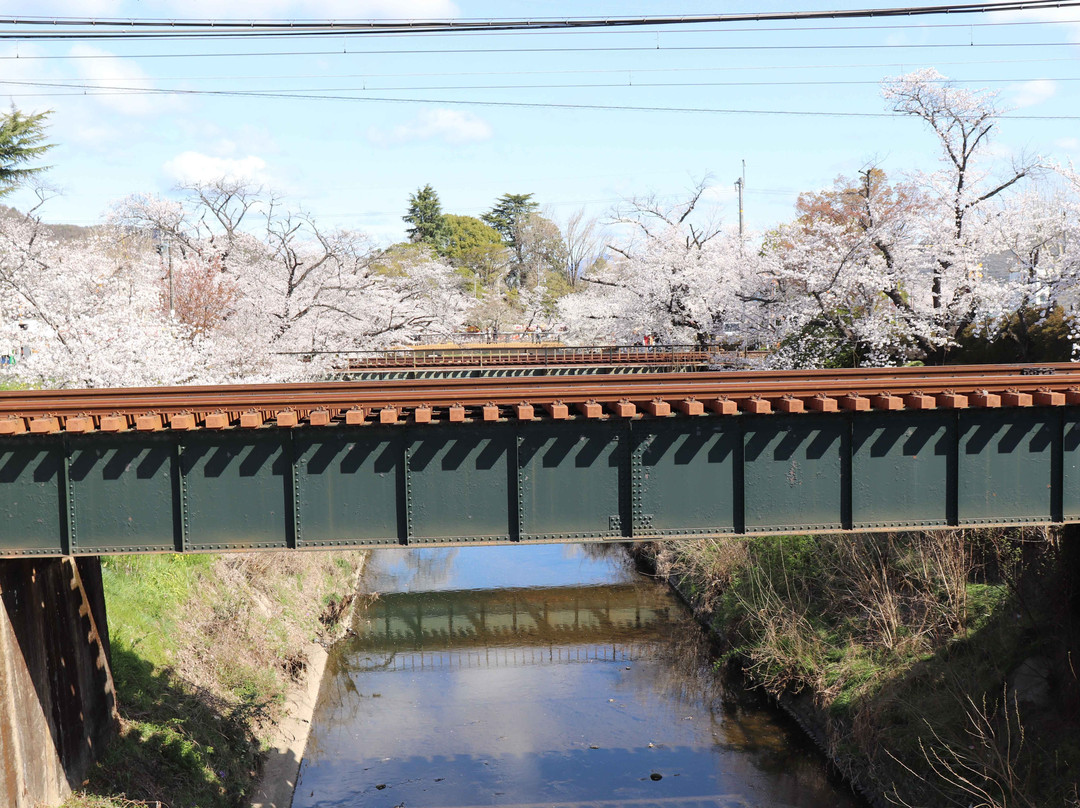 Shinsakai River Tsutsumi-各务原市必去景点