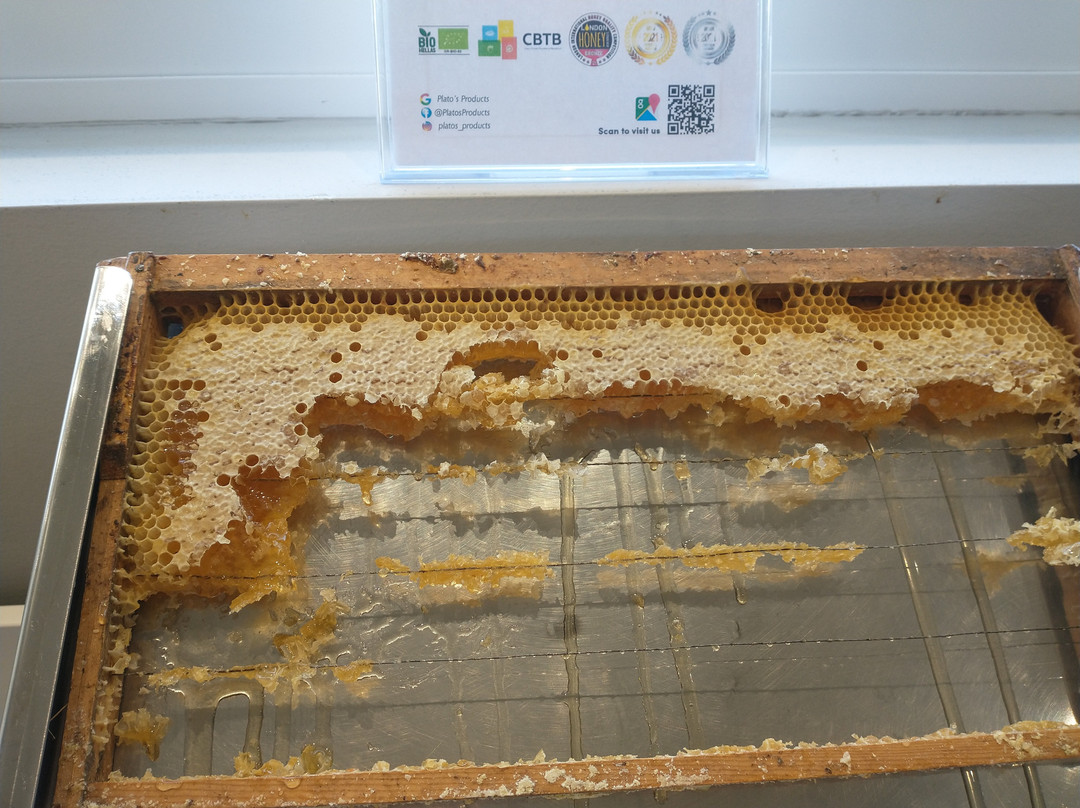 Melina Oasis Boutique Hotel主图