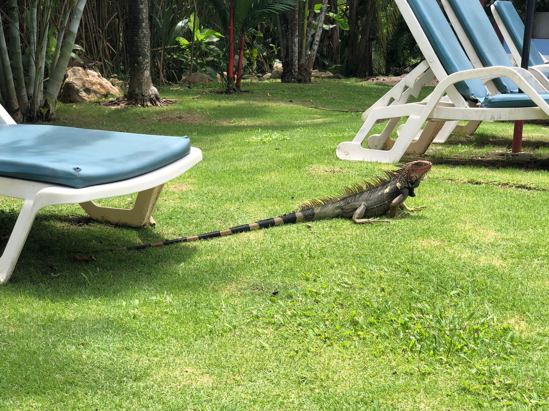 Boutique Hotel Ibiza主图