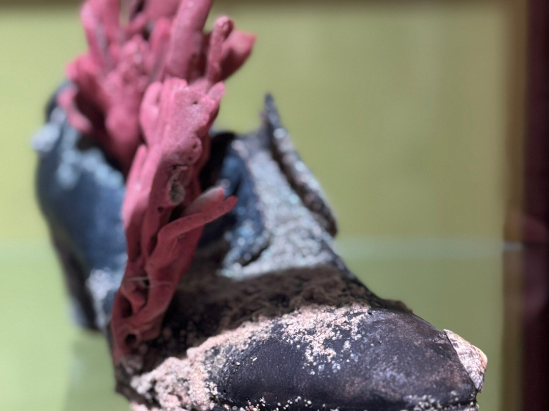 Lowe Art Museum-科勒尔盖布尔斯必去景点