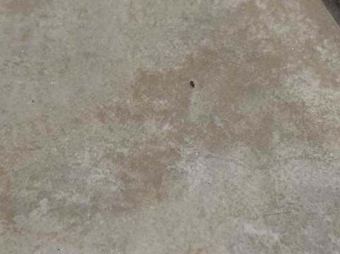 哥伦比亚西舒适酒店主图