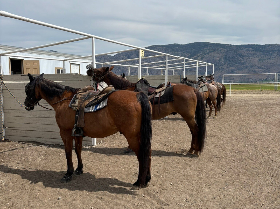 Sun Hills Riding Centre-奥索尤斯必去景点