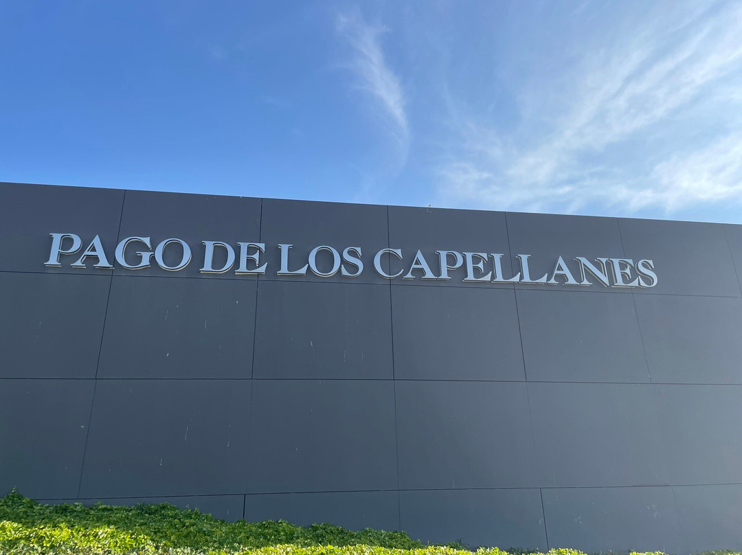 Pago de Los Capellanes-Pedrosa de Duero必去景点