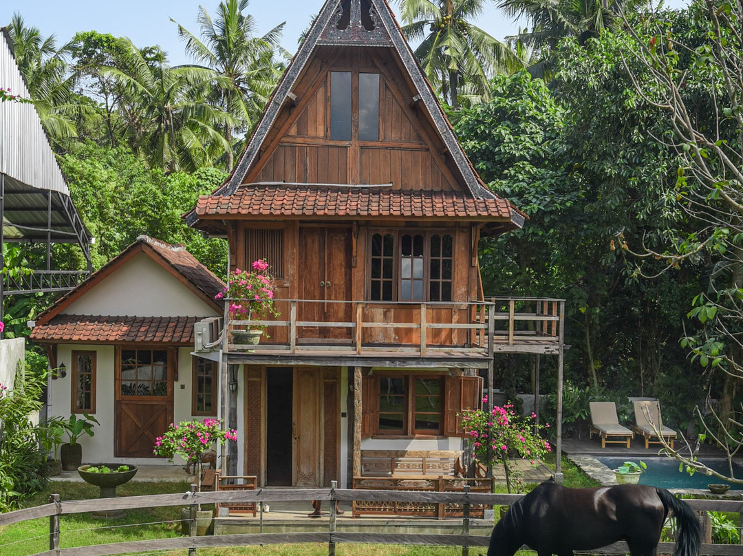 Salty Cowboy Luxury Cottages Kedungu