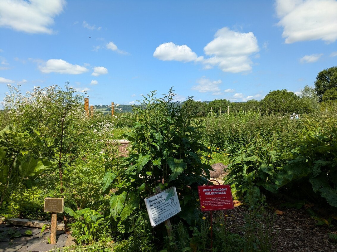 Dilston Physic Garden-Corbridge必去景点