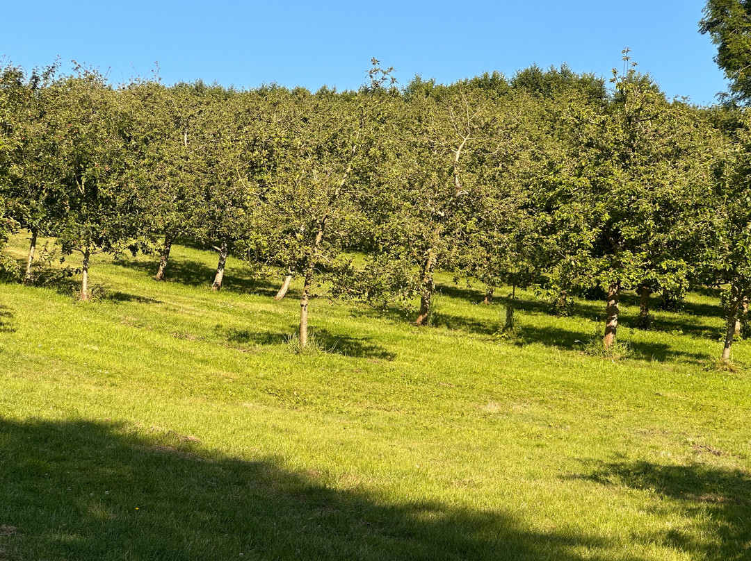 Rocquette Cider-Castel必去景点