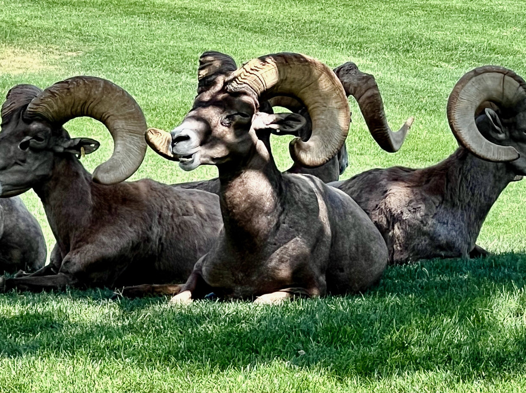 Hemenway Park-博尔德城必去景点