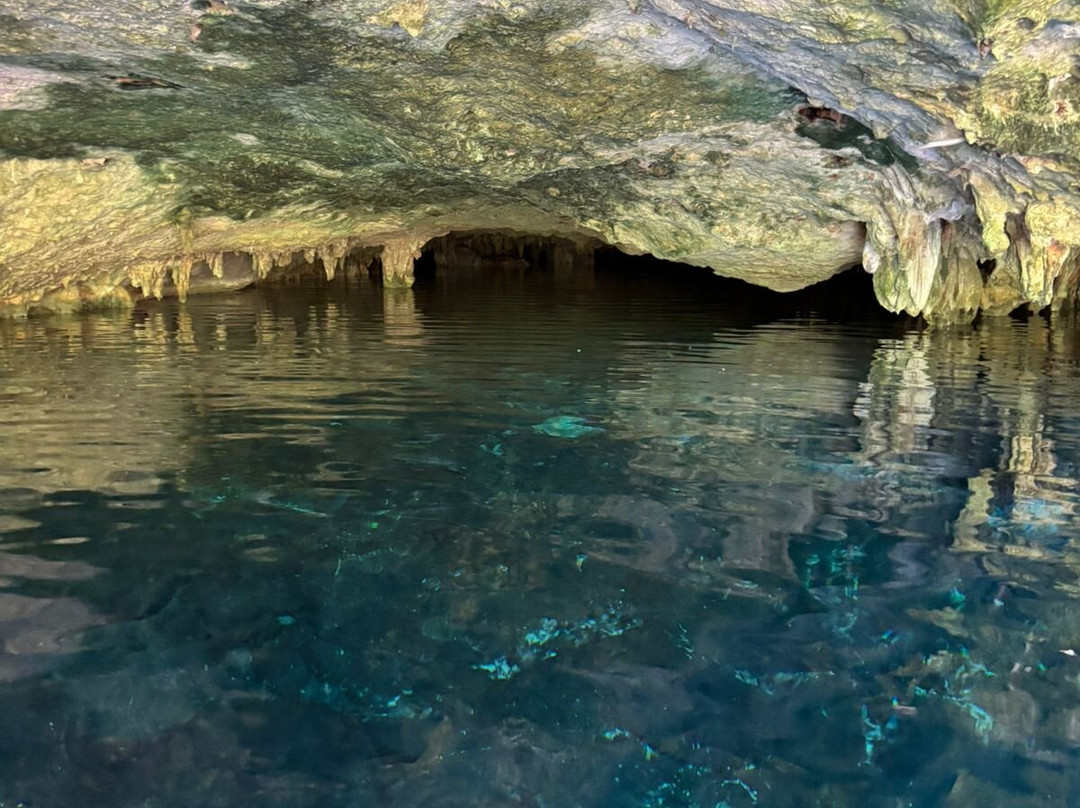 Alex In Tulum Transfers & Tours-图伦必去景点