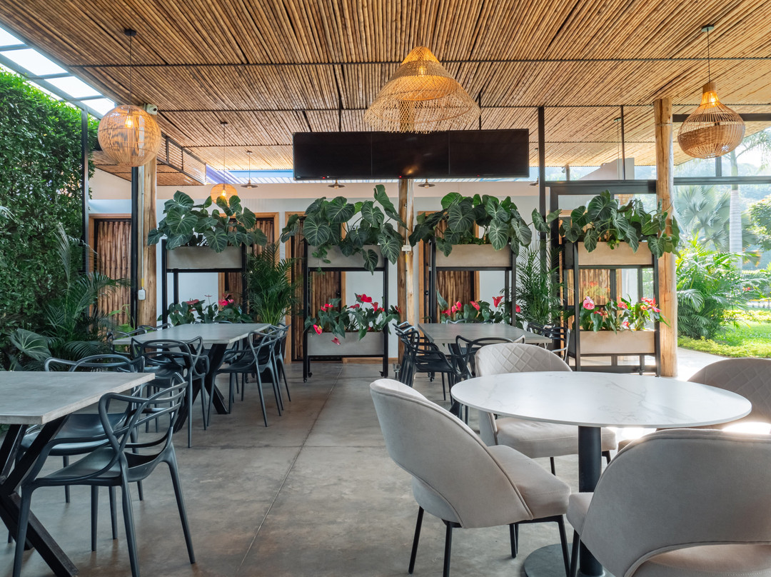 Atardeceres Del Café