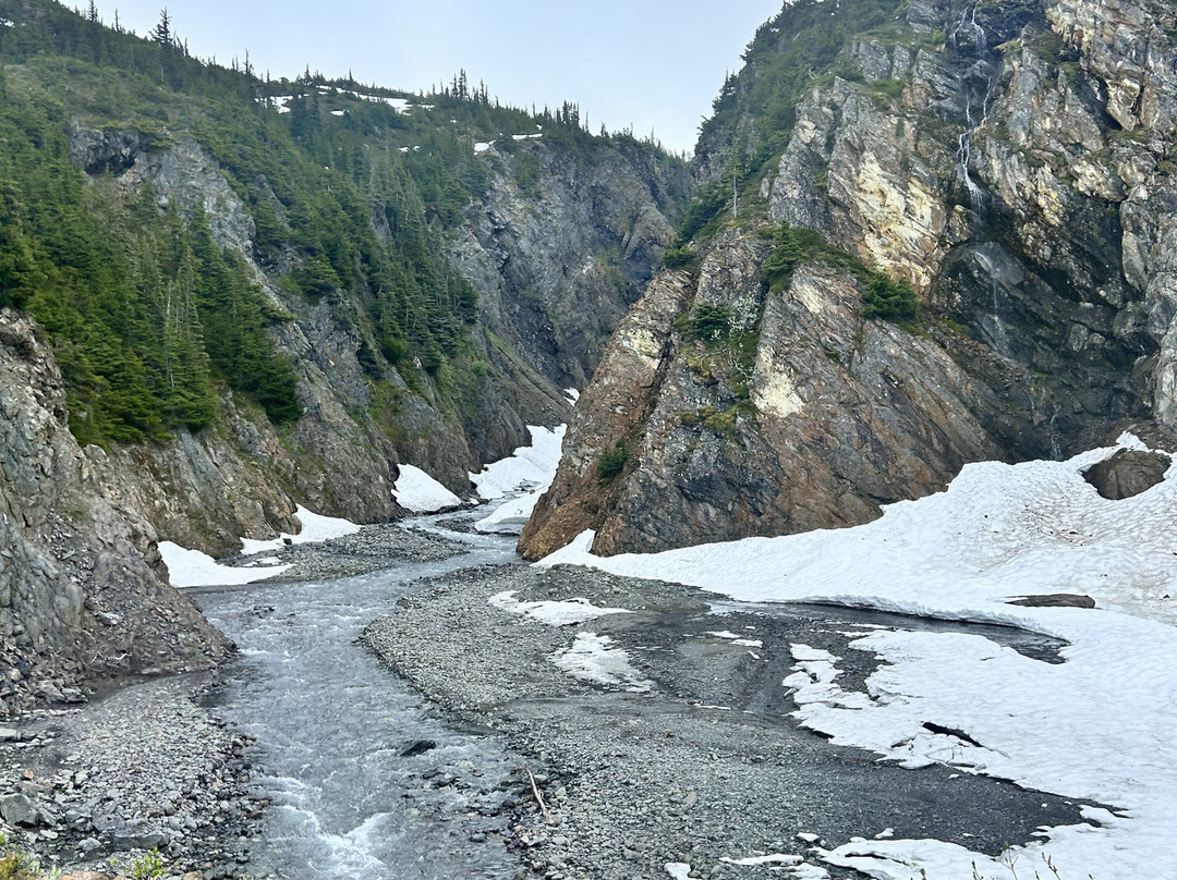 Whitecap to Icecap Adventures-Stewart必去景点