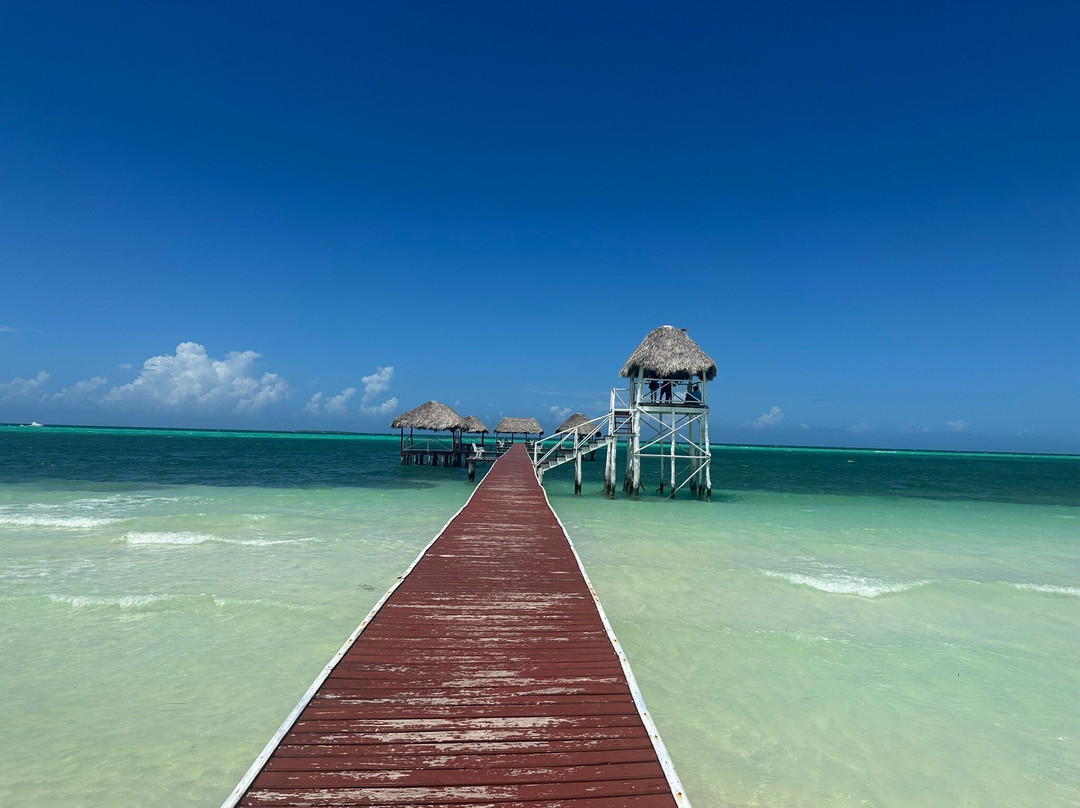 Coco Diving Center-Cayo Guillermo必去景点