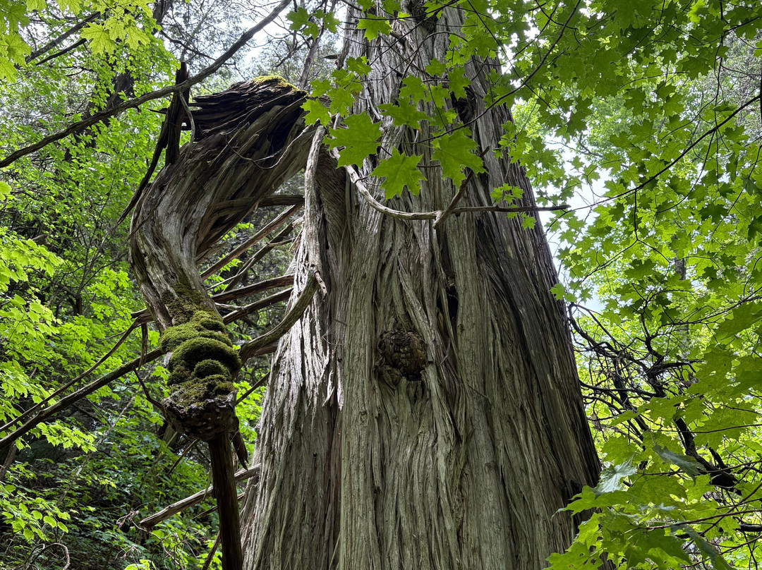 Manitou Island Transit-Leland必去景点