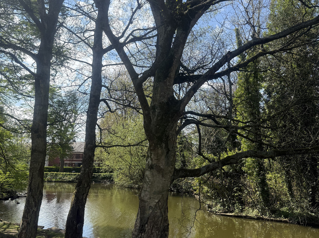 Mesnes Park-威根必去景点