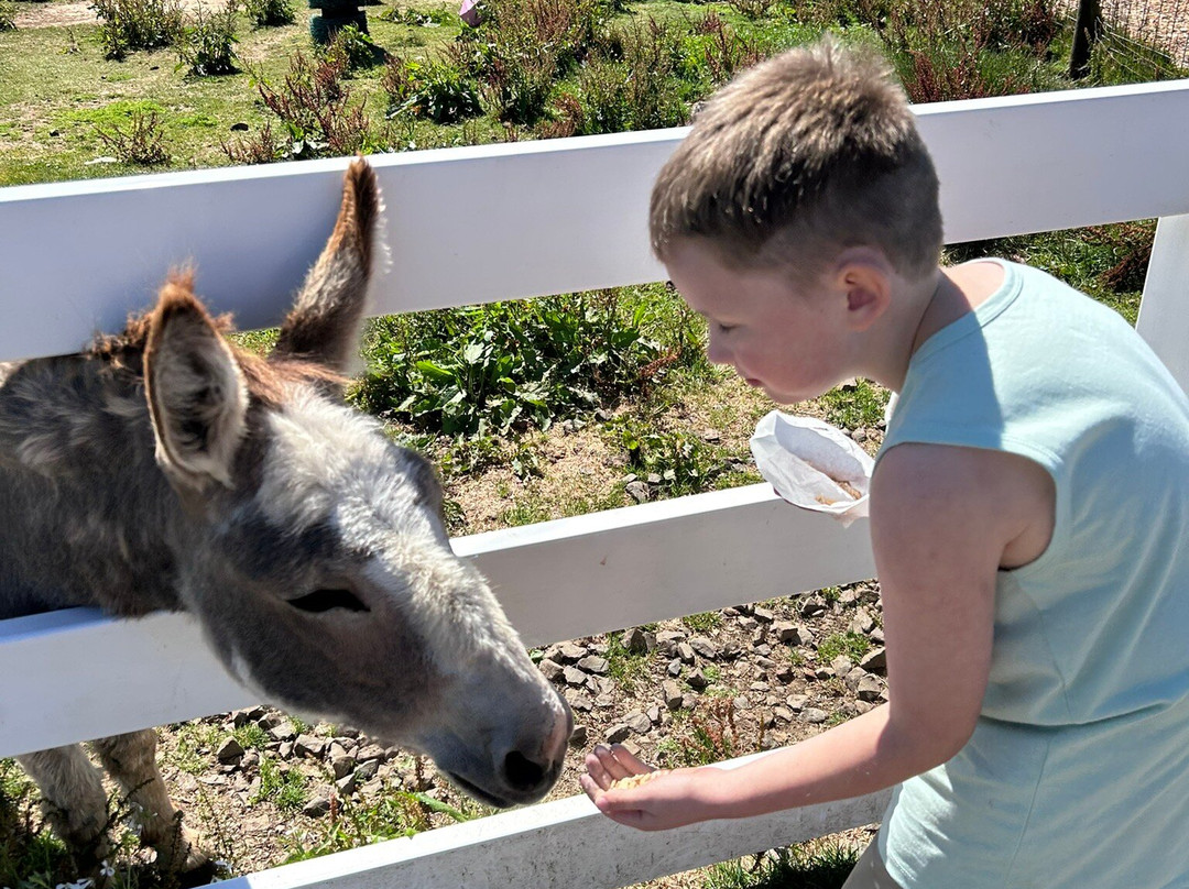 Blue Heron Cheese & Wine Company-蒂拉穆克必去景点