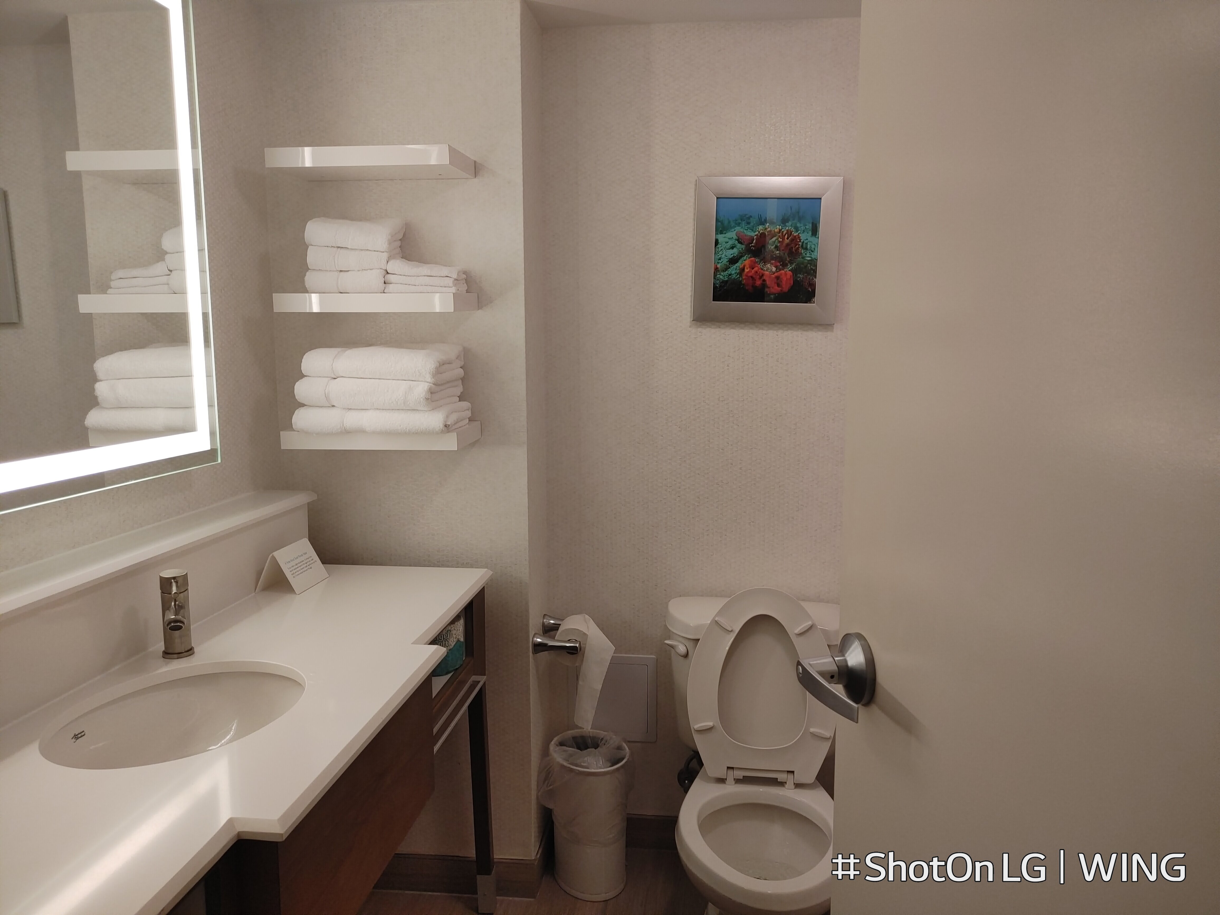 Hampton Inn Ft. Lauderdale-West/Pembroke Pines-浴室
