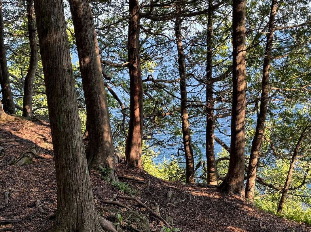 Door Bluff Headland’s County Park-Ellison Bay必去景点