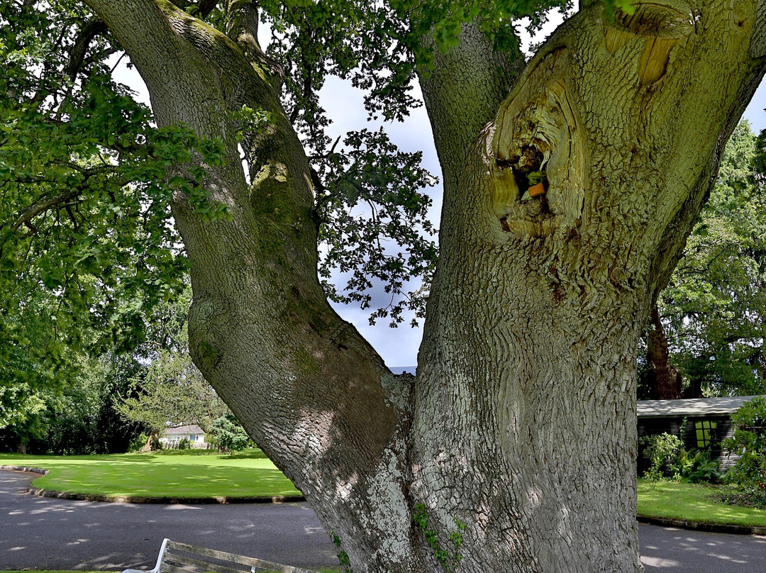 Llangattock Park House Bed and Breakfast