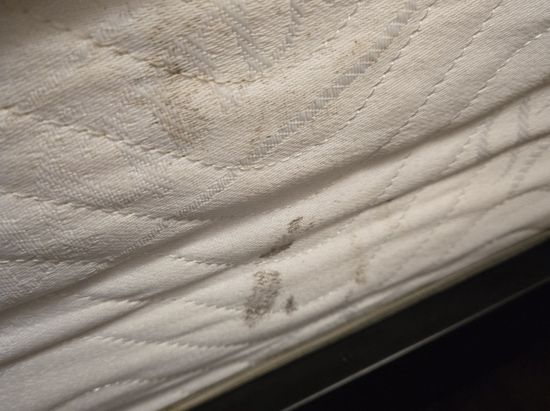 Days Inn & Suites By Wyndham Navarre Near Beaches/hurlburt主图